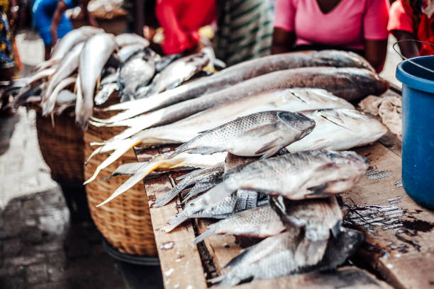 Healthy Seafood In Nigeria And Their Benefits