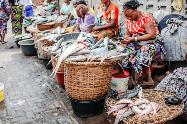 Healthy Seafood In Nigeria And Their Benefits